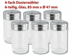 Rosenstein & Söhne Gewürzglas:6-teiliges Stilvolles Gewürzstreuer-Set Aus Glas