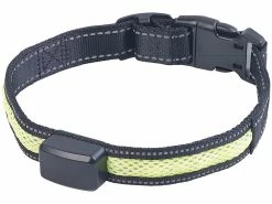 Infactory Leuchthalsband:LED-Leuchtband Mit Kinetischer Leucht-Funktion, Für Mittelgroße Hunde