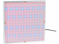 Lunartec Grow Light:2er-Set Profi LED-Pflanzen-Wachstums-Leuchtpanels Mit Je 225 LEDs 6 Lunartec Grow Light:2er-Set Profi LED-Pflanzen-Wachstums-Leuchtpanels Mit Je 225 LEDs -Haushalt Verkäufe nx6597 0 1
