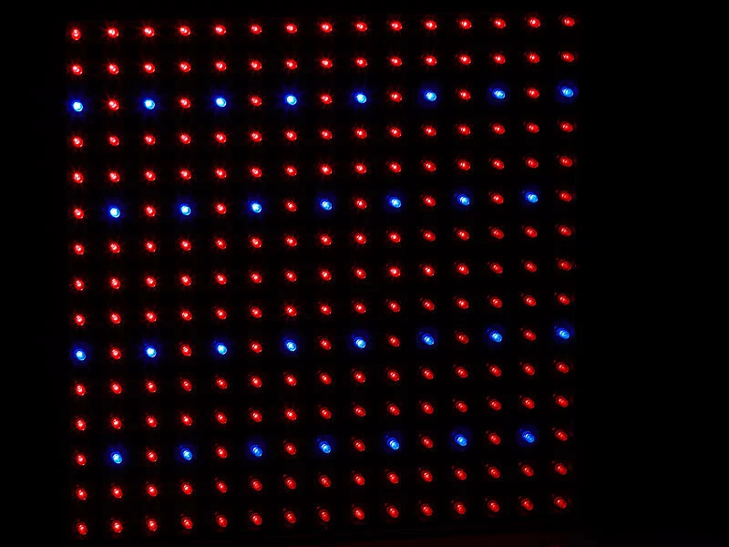 Lunartec LED Wachstumslampe:Profi LED-Pflanzen-Wachstums-Leuchtpanel Mit 225 LEDs, 250 Lumen 3 Lunartec LED Wachstumslampe:Profi LED-Pflanzen-Wachstums-Leuchtpanel Mit 225 LEDs, 250 Lumen – Bild 3