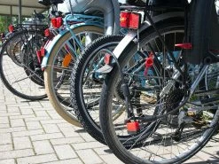 AGT Fahrradschloss Stahlseil:Wetterfestes Profi-Stahlseil Mit Vorhängeschloss, Ummantelt, 5m, Ø 1cm -Haushalt Verkäufe nx7098 5