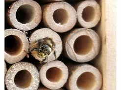 PEARL Insektenhaus:Insektenhotel-Bausatz, Nisthilfe Und Schutz Für Nützlinge -Haushalt Verkäufe nx7319 10