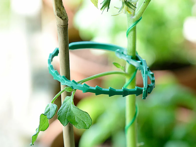 Royal Gardineer Rankhilfe:2 Pflanzenbefestigungs-Sets Mit Pflanzenclips, XXL-Pack, Je 71-teilig 3 Royal Gardineer Rankhilfe:2 Pflanzenbefestigungs-Sets Mit Pflanzenclips, XXL-Pack, Je 71-teilig – Bild 3