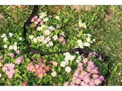 Royal Gardineer Gartenschläuche:Perlschlauch "Eco" 12m 4er-Pack -Haushalt Verkäufe pe6596 1