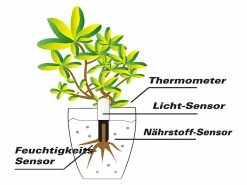 Royal Gardineer Gießanzeiger:4in1-Pflanzensensor SUN-141 Mit Bluetooth Und App-Kontrolle, 4er-Set -Haushalt Verkäufe zx2807 8