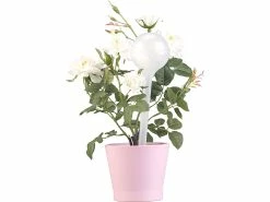 Royal Gardineer Wasserspender Für Blumen:8er-Set Gießfrei-Bewässerungskugeln, Kunststoff, Transparent, Ø 8,5 Cm 16 Royal Gardineer Wasserspender Für Blumen:8er-Set Gießfrei-Bewässerungskugeln, Kunststoff, Transparent, Ø 8,5 Cm -Haushalt Verkäufe zx8022 2