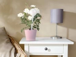 Royal Gardineer Wasserspender Für Blumen:8er-Set Gießfrei-Bewässerungskugeln, Kunststoff, Transparent, Ø 8,5 Cm 14 Royal Gardineer Wasserspender Für Blumen:8er-Set Gießfrei-Bewässerungskugeln, Kunststoff, Transparent, Ø 8,5 Cm -Haushalt Verkäufe zx8022 6