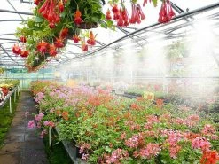 Royal Gardineer Sprühnebel Kühlung:Wasser-Zerstäuber-Set Mit 10-Meter-Schlauch Und 10 Metalldüsen 8 Royal Gardineer Sprühnebel Kühlung:Wasser-Zerstäuber-Set Mit 10-Meter-Schlauch Und 10 Metalldüsen -Haushalt Verkäufe zx8027 5