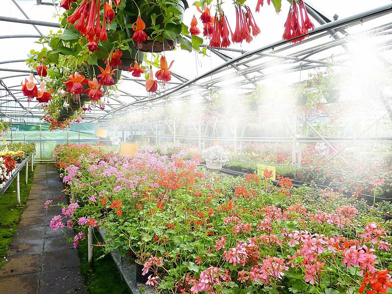 Royal Gardineer Sprühnebel Kühlung:Wasser-Zerstäuber-Set Mit 10-Meter-Schlauch Und 10 Metalldüsen 4 Royal Gardineer Sprühnebel Kühlung:Wasser-Zerstäuber-Set Mit 10-Meter-Schlauch Und 10 Metalldüsen – Bild 4