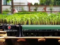 Royal Gardineer Heizung:2er-Set Elektr. Stabheizung Für Gewächshäuser, 135 Watt, 105 Cm, IP44 -Haushalt Verkäufe zx8115 8