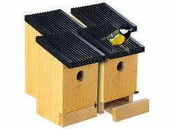 Royal Gardineer Holznistkasten:4er-Set Tannenholz-Nistkästen Für Wildvögel, 22x14x12 Cm, Vormontiert